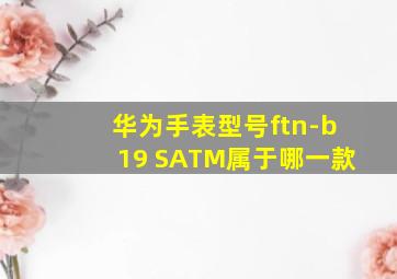 华为手表型号ftn-b19 SATM属于哪一款